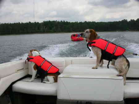 On Board with our 2 dogs