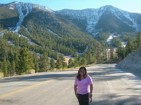 Mt. Charleston