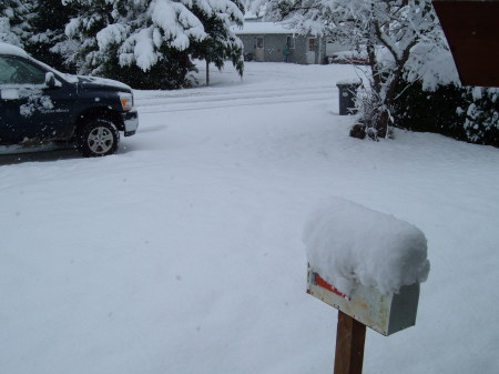 Fresh Snowfall  Mount Vernon, NOV06