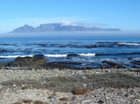 View of Cape Town from Robben Island