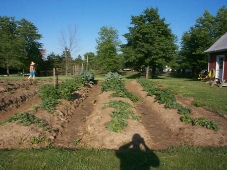 Melons and Cukes