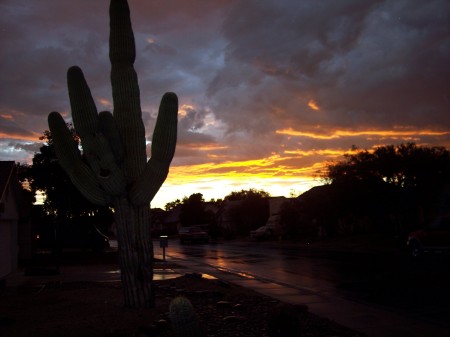 AZ Sunset