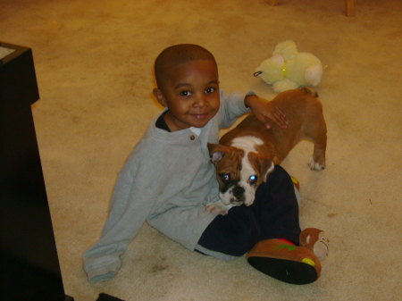 My son and my new dog