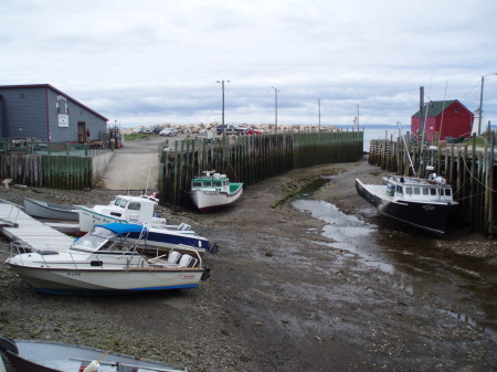 Low Tide