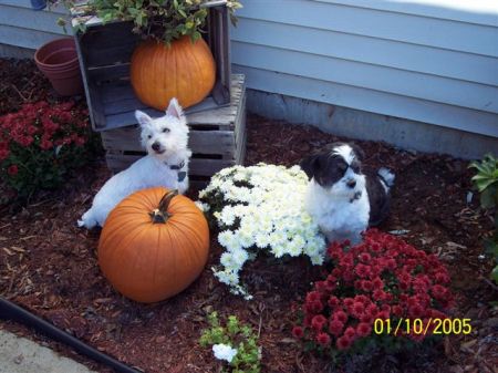 The Girls Batty and Mollybean