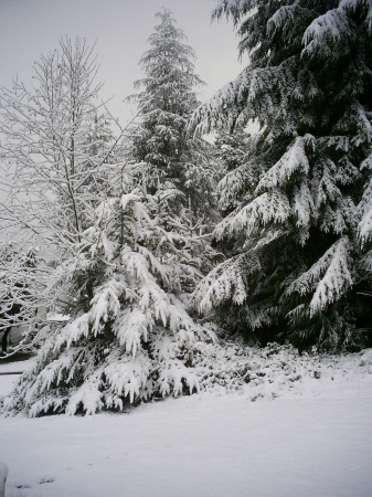 Our front driveway at our home in Oregon, Winter '06-'07