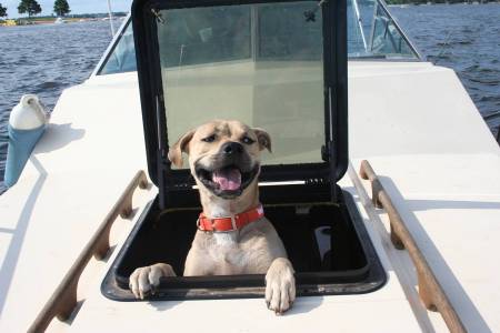 Mr. Winston and our boat on Lake Conroe, TX