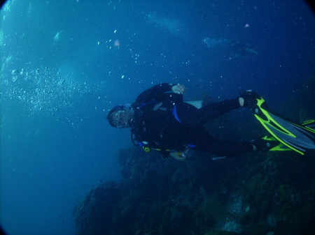 Me on a reef
