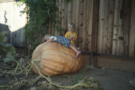 Kids and Pumpkin 2005