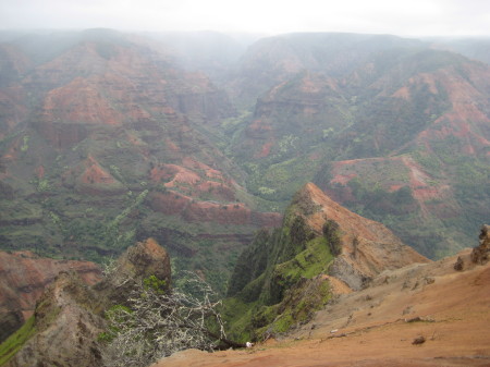 Carla Sturtevant's album, Hawaii