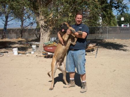 Steve and Angus at 10 months old