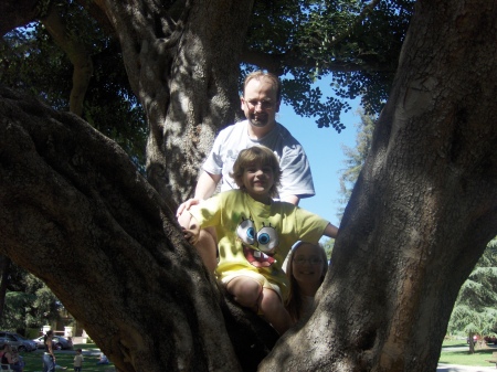 Tree climbing with the girls