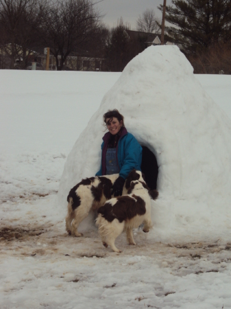 My house and puppies!