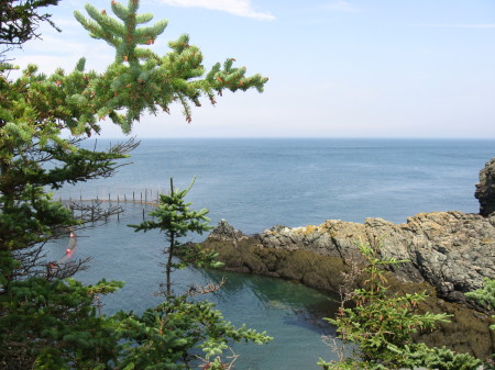 View from our campground.  Grand Manan