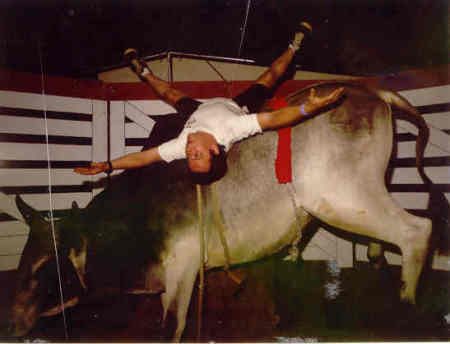 Fake bull ride, State Fair