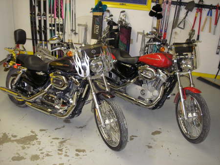 My Harley's