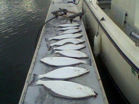 2010 START OF THE COMMERCIAL FISHING FOR HALLI