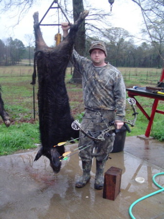 wild boar 185lbs