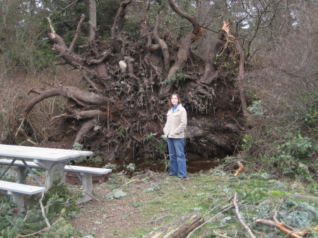 Storm damage