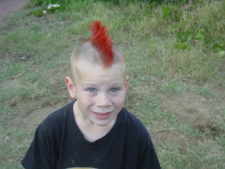 Rooster Mohawk