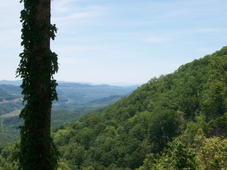 Middlesboro Mountain, Looking West, June, '08