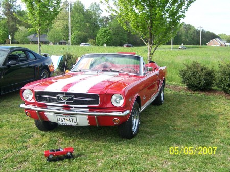 My 64 1/2 Mustang