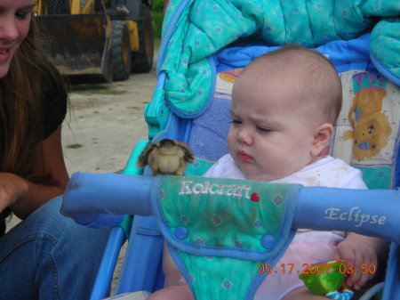 Layla w/ Baby chick