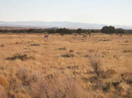 RedSky Ranch