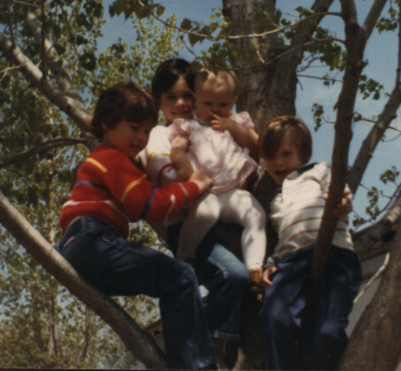My monkeys in a tree, just like I used to be!