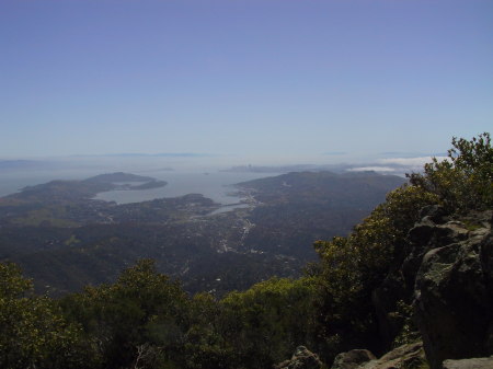 Mt. Tam