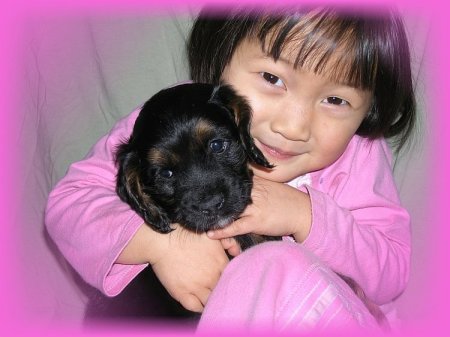Netty with Puppy