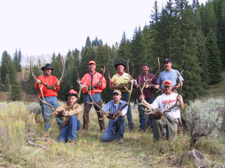 Elk hunting in Colorado