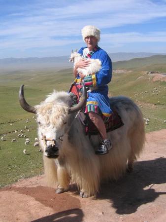 Me on a Yak in China