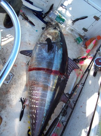 5' 1'' Bluefin Tuna 150lbs July 2007