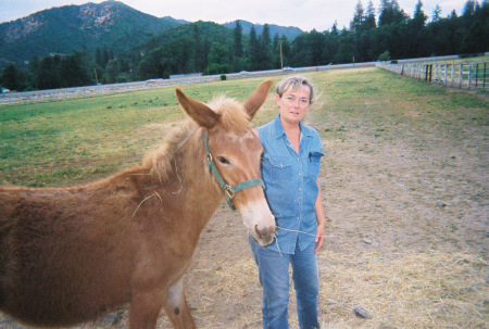 Ellen Waldron Thoren's Classmates profile album