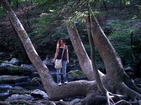 Me at Bushkill Falls in PA