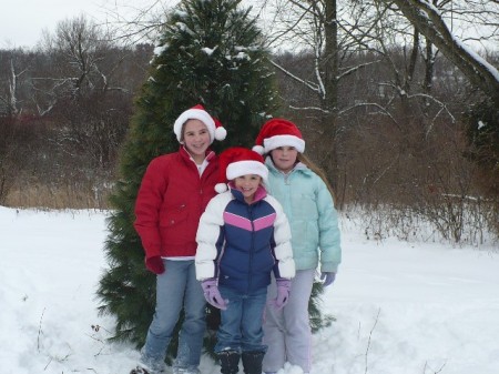 Christmas tree hunt of 2007