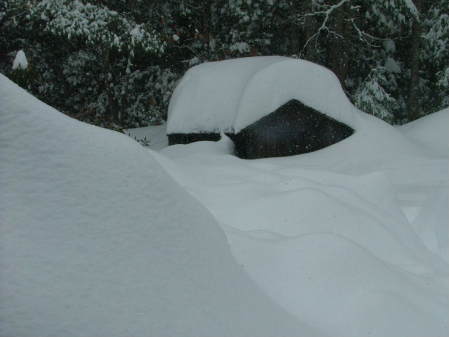 my poor shed last winter