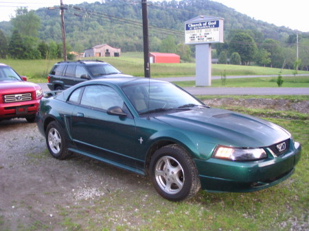 Mustang another baby of mine