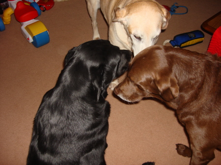 Buffy, Chloe & Leeta