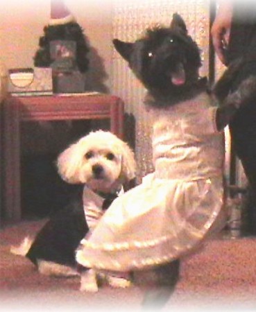 My two dogs Keishah & Bailey
