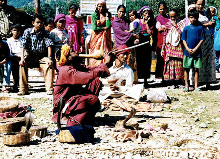 Charmed in Pokhara Nepal