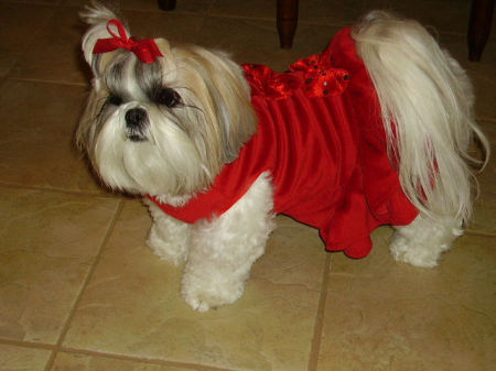 Sophie in her red velvet dress