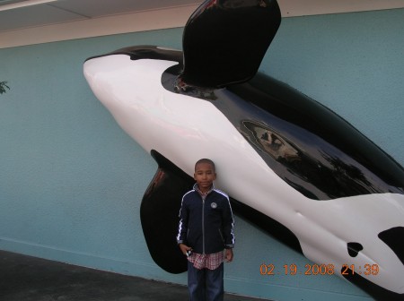 jael an shamu