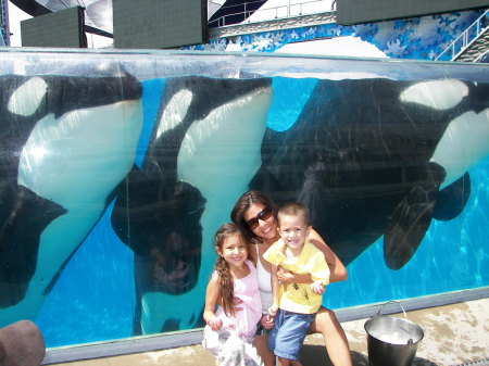 Sea world