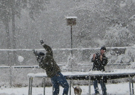 drew dodging snowball brannon threw 2008