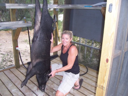 My first wild boar