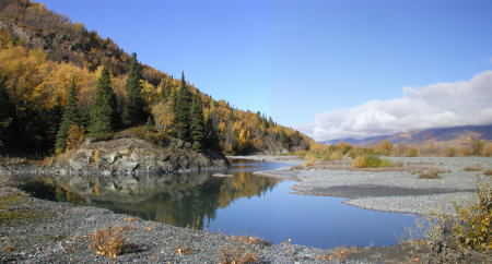 Fall hunting spectacle