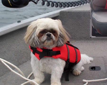 Mr Boos on the boat w/ puppy preserver