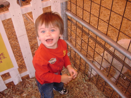 my son at the pumpkin patch 2007